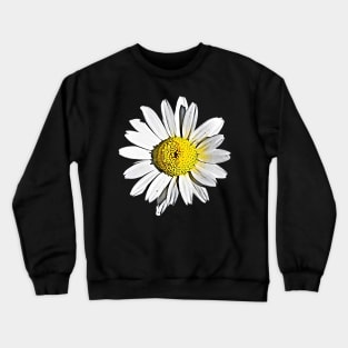 Denmark Flower Marguerite Daisy Argyranthemum Frutescens Pattern Crewneck Sweatshirt